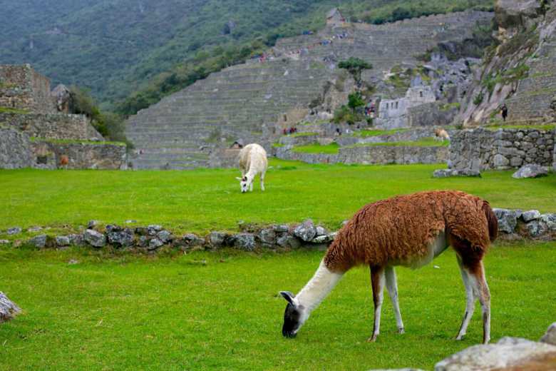 Machu Picchu tours
